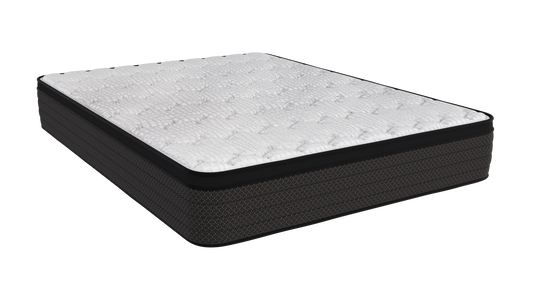 Signature Plush Euro Top